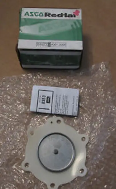 Asco 200261 Rebuild Kit