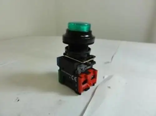 84893 - Advance Controls LH22 ACI Pushbutton Switch 250V