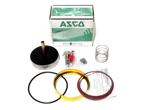 ASCO RED HAT 304355 REBUILD KIT 304355