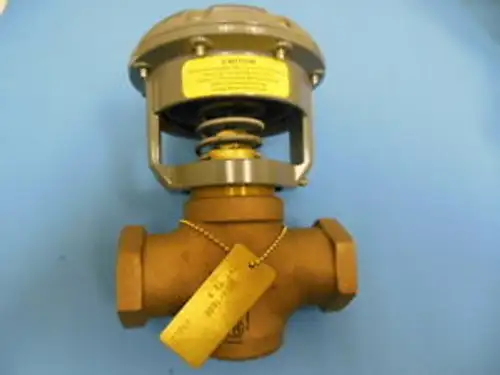 Johnson Controls V-3974-1005 Valvola a gabbia 1 Nc