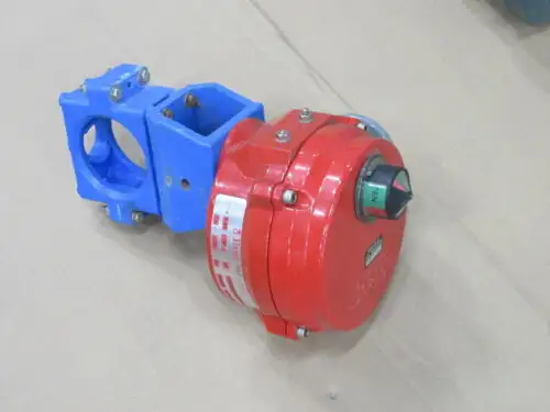 Bray 70-0052-11300-536 Valve 70005211300536