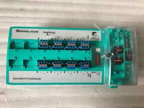 Pepperl+Fuchs R4D0-Fb-Ia8.1