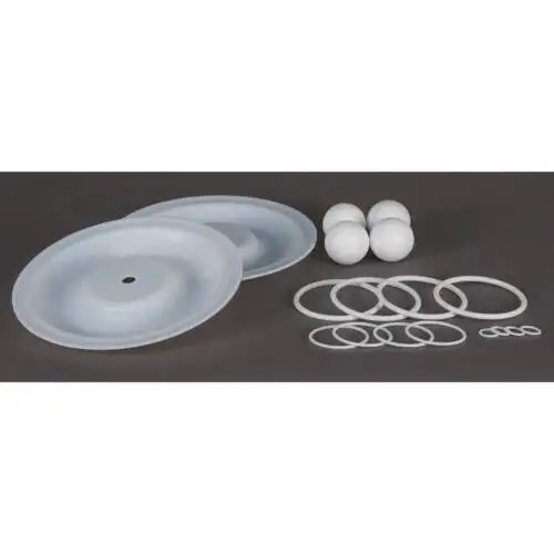 Dayton 22A612 Kit di riparazione della pompa Ptfe Fluid 1 In.