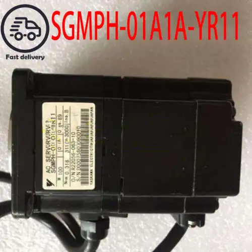 Sgmph-01A1A-Yr11 F