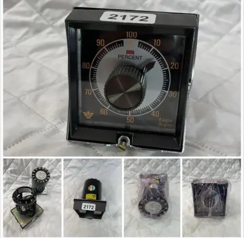 Danaher Controls Hq909A6 / Hq909A6 Timer Eagle Signal 100 Minuti