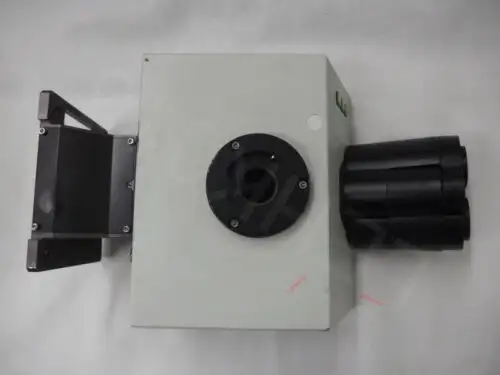 FV5-LVTM