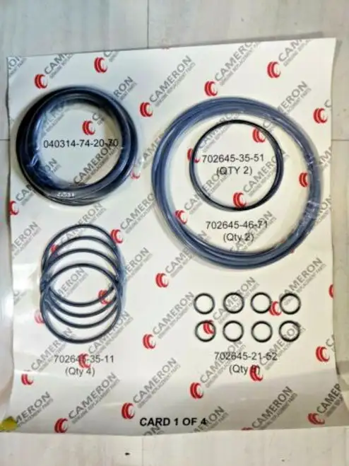 Cameron Cap√≥ - Sello Kit De Reparaci√≥n Con St Cerradura 2163135-01