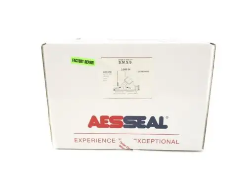 Aesseal 1Amsz24A01 Reman
