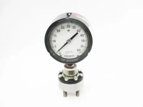 Ashcroft 1981-150024 0-60Psi